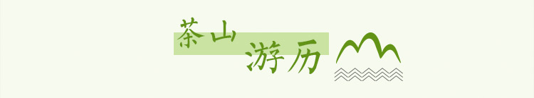 茶山游历