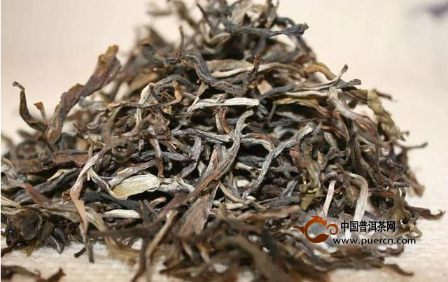 古树茶树龄越大,品质就越好吗?_雅苑茶语_天下普洱_云南网